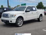 2013 F-150 Thumbnail 1