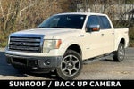 2013 F-150 Thumbnail 1