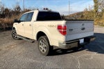 2013 F-150 Thumbnail 3
