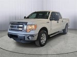 2014 F-150 Thumbnail 4