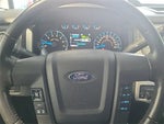 2014 F-150 Thumbnail 10