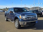 2014 F-150 Thumbnail 7