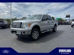 2011 F-150 Thumbnail 1