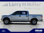 2011 F-150 Thumbnail 2