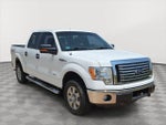 2011 F-150 Thumbnail 1