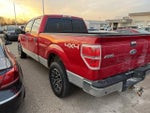 2011 F-150 Thumbnail 11