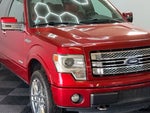 2013 F-150 Thumbnail 4