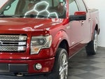 2013 F-150 Thumbnail 8