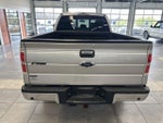 2013 F-150 Thumbnail 12