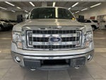 2013 F-150 Thumbnail 16