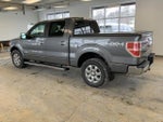 2013 F-150 Thumbnail 7