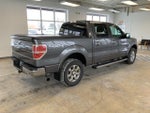 2013 F-150 Thumbnail 12