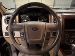 2013 F-150 Thumbnail 14