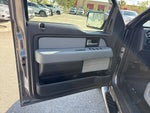 2013 F-150 Thumbnail 5