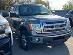 2013 F-150 Thumbnail 2