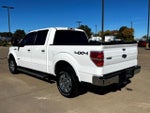 2013 F-150 Thumbnail 3