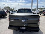 2014 F-150 Thumbnail 3