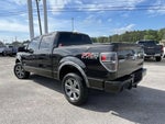 2014 F-150 Thumbnail 4