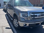 2014 F-150 Thumbnail 2
