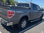 2014 F-150 Thumbnail 3