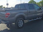 2014 F-150 Thumbnail 9