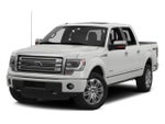 2014 F-150 Thumbnail 1