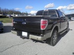 2014 F-150 Thumbnail 5