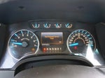 2014 F-150 Thumbnail 12