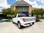 2013 F-150 Thumbnail 3