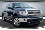 2013 F-150 Thumbnail 3