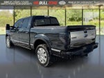 2014 F-150 Thumbnail 3