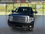2014 F-150 Thumbnail 8