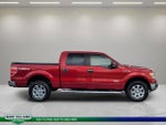 2014 F-150 Thumbnail 2