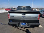 2014 F-150 Thumbnail 6