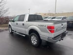 2014 F-150 Thumbnail 4