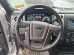 2014 F-150 Thumbnail 11