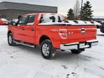 2011 F-150 Thumbnail 4