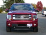 2013 F-150 Thumbnail 3