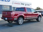 2013 F-150 Thumbnail 8