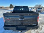 2013 F-150 Thumbnail 3