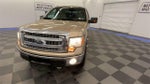 2013 F-150 Thumbnail 3