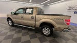 2013 F-150 Thumbnail 6