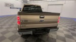 2013 F-150 Thumbnail 7