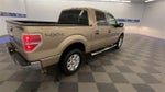 2013 F-150 Thumbnail 8