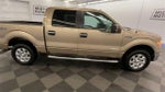 2013 F-150 Thumbnail 9
