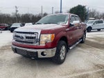 2013 F-150 Thumbnail 1