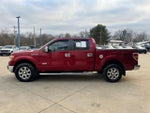 2013 F-150 Thumbnail 4