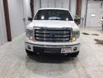 2013 F-150 Thumbnail 2