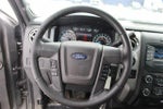 2014 F-150 Thumbnail 4