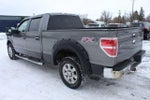 2014 F-150 Thumbnail 10